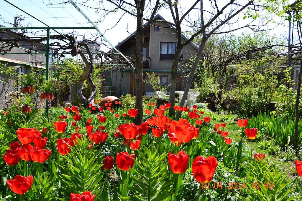 Milorava'S Guest House & Wine Cellar Telavi Exterior foto
